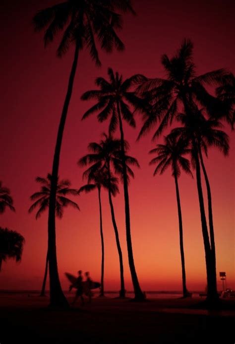 Pin by allison on Sunset Resort | Nature photography, Red sunset ...