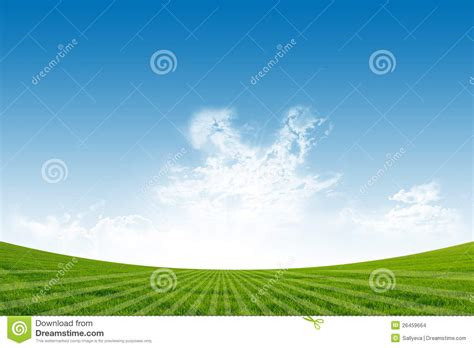 Green Field And Blue Sky Stock Photo Image Of Plain 26459664