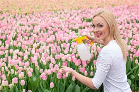 Beautiful Young Lady Is Watering Pink Tulips Stock Photo Image Of