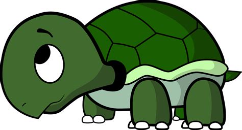 Turtle Cartoon Clip Art 101 Clip Art