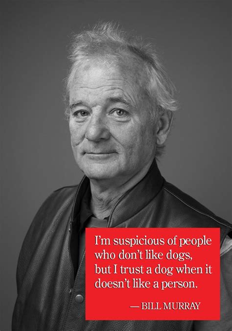 Bill Murray You Re Awesome Meme Marquita Cossairt