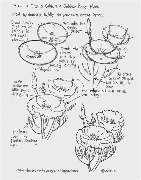The lotus plant has a distinct flower made of a central pod leading out to large, gorgeous petals. How To Draw A California Golden Poppy Flower. Free Drawing ...