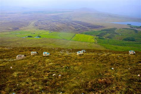 Life In Cork Mt Croagh Patrick