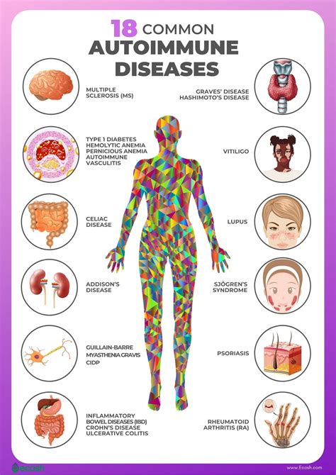 Autoimmune Diseases Causes Risk Factors And The List Of 18 Most Common Autoimmune Diseases