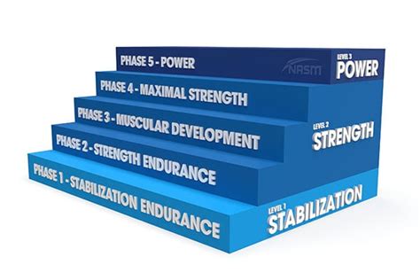 Stabilization Endurance Nasms Optimum Performance Training