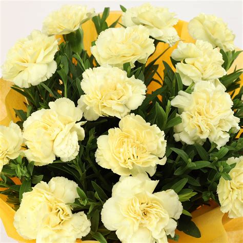 Online 15 Yellow Carnations Bouquet Medium T Delivery In Singapore Fnp