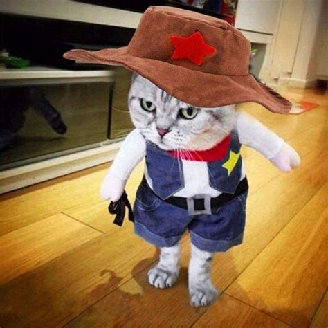 Cowboy Jacket Suit Cat Costume My Inviting Home