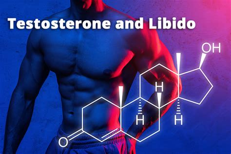 Testosterone And Libido Analysing The Connection Balance My Hormones