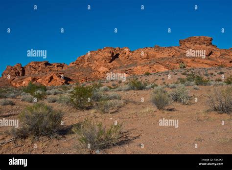 Usa Nevada Mesquite Gold Butte National Monument Stock Photo Alamy