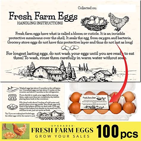 Amazon Com Havongki Pcs Premium Fresh Farm Eggs Handling