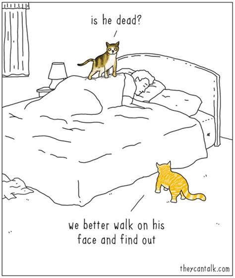 30 Hilarious Comic Strips What Animals Would Say If They Could Talk By