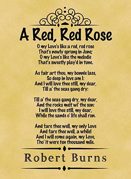 😀 A Red Red Rose Robert Burns 2019 01 22