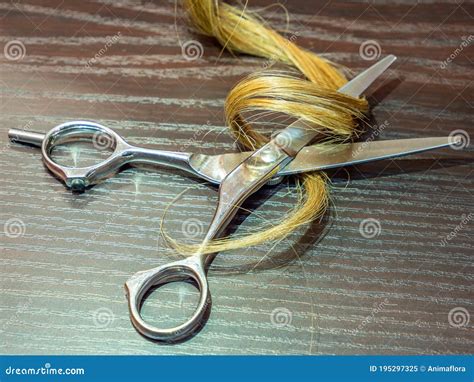 Blonde Curl Of Hair And Hairdresser Set Isolated On Grey Background