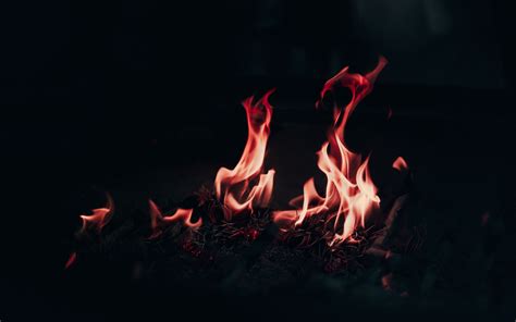 Download Wallpaper 3840x2400 Fire Flame Bonfire Burn Night 4k Ultra