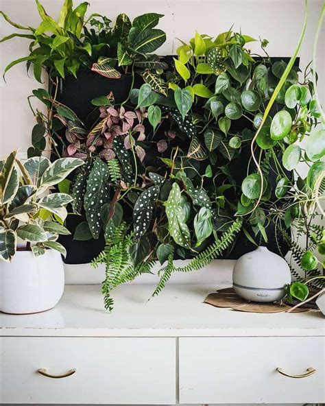 How To Build An Indoor Plant Wall According To A Pro