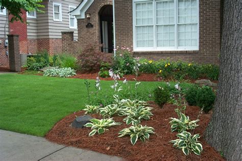 Shade Tolerant Front Yard Design Traditional Landscape Atlanta