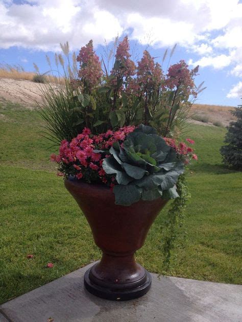 Bright Fall And Winter Flower Pot Backyard Makeover Pinterest