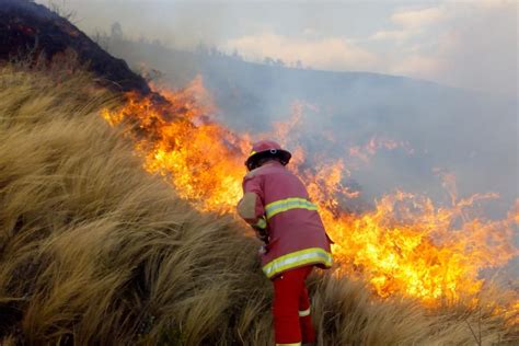 Apr 09, 2021 · el que pasó fue el peor año en décadas para la provincia en materia de incendios forestales. Incluirían incendios forestales en Fondo de Seguro Agrario ...