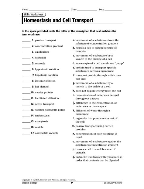 Homeostasis And Cell Transport Skills Worksheet Answers Nidecmege