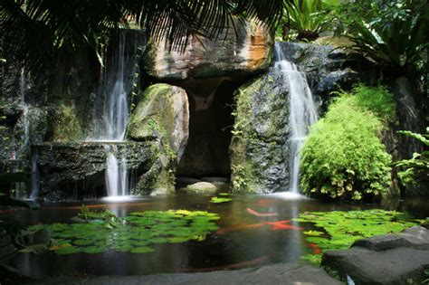 Hidden Waterfall With Pond Wall Mural Tropical