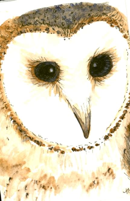 Owl Purdue Owl Purdue University Online Writing Lab Clip Art Png