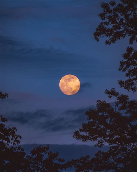 Blue Moon Rising Art Print By Rob Travis Blue Moon Rising Moon