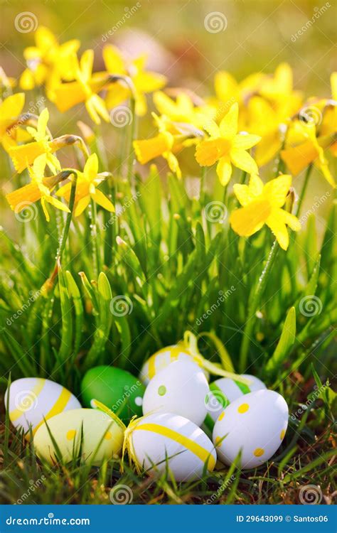 Easter Eggs And Daffodils Outdoor Royalty Free Stock Images Image