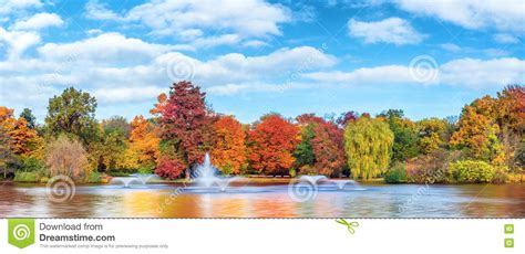 Autumn Panorama Pond And Trees In Park Stock Image Image Of Park