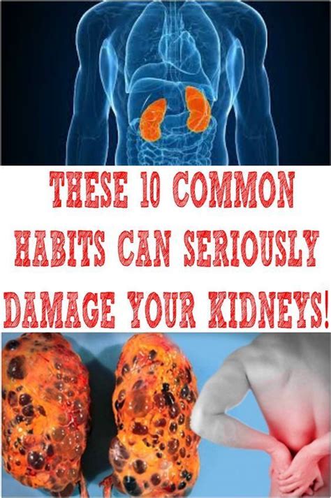 10 Most Common Habits That Damage Your Kidneys Health