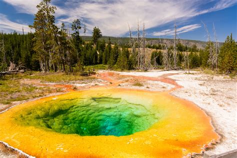Hot Spring Morning Glory Pool Yellowstone National Park Wyoming Usa