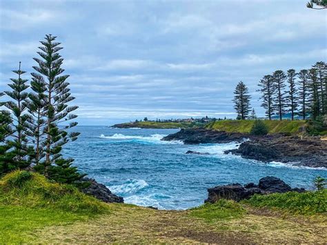 Kiama Blowhole Updated 2020 All You Need To Know Before You Go With