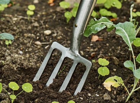 5 Best Garden Forks Uk Buynew