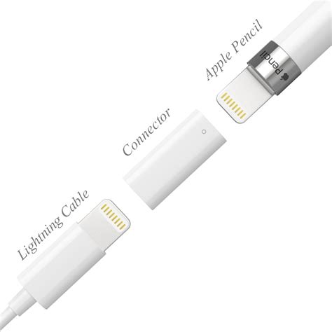 Apple Pencil Charging Adapter And A Lightning To Usb Cable Adapter View