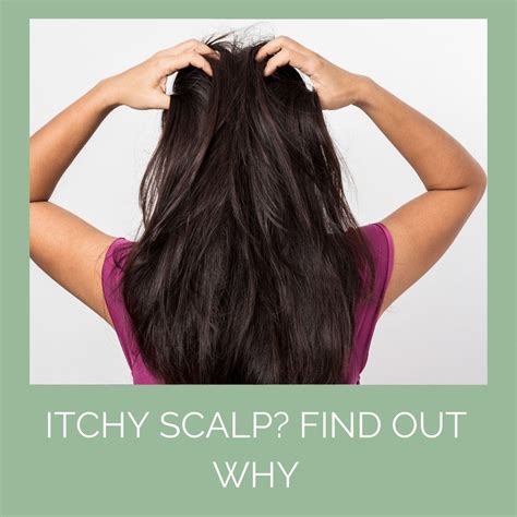 Itchy Scalp Find Out Whats Causing It And How To Treat It Naturally