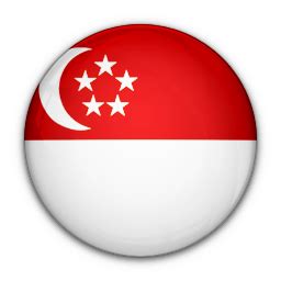 Circle, country, flag, nation, national, singapore icon. Flag, of, singapore icon