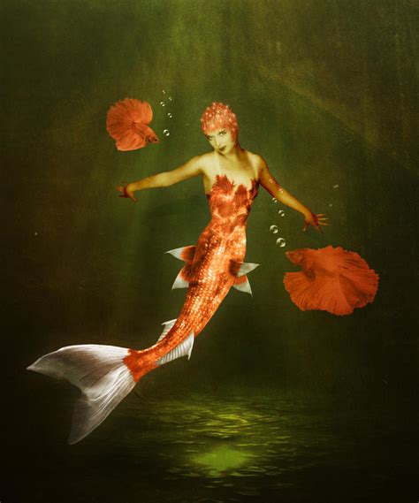 Koi Mermaid By Jinxmim On Deviantart