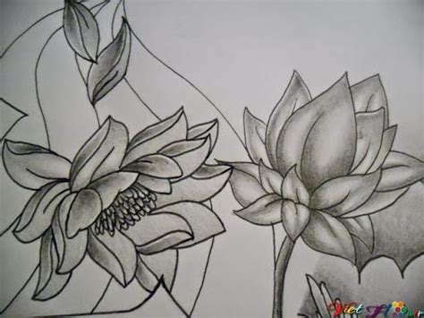 Bút bi còn có thể sáng tạo nghệ thuật, từ chiếc bút bi, người ta có thể vẽ được bức tranh đẹp hay xăm hình nghệ thuật bằng bút bi. 16 hình vẽ hoa sen bằng bút chì tuyệt đẹp | Hình xăm hoa ...