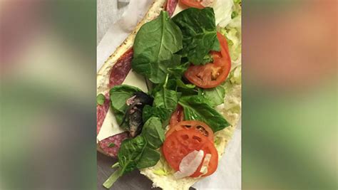 Dead Rodent Found Inside Subway Sandwich Abc7 Chicago