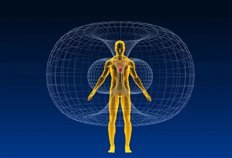 The Human Heart Emits The Strongest Electromagnetic Field In Our Body