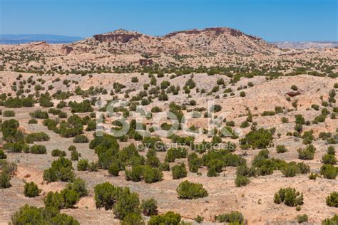 Desert Landscape In New Mexico Stock Photo Royalty Free Freeimages