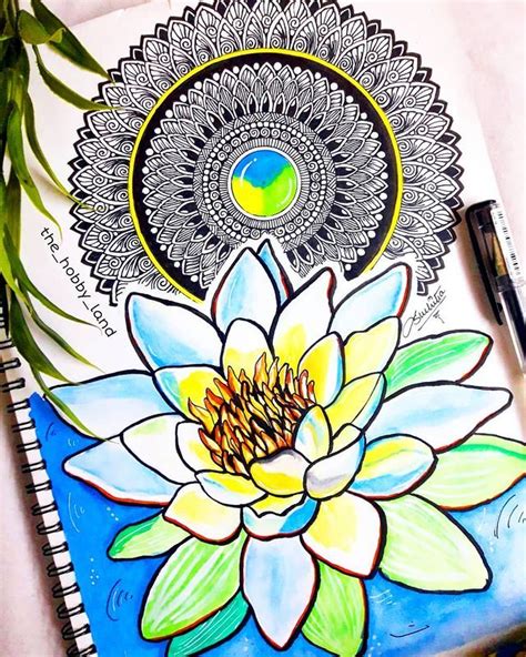 Suchitra L Mandala Artist On Instagram “water Lily Mandala 🌼🌿 🌼🌿if