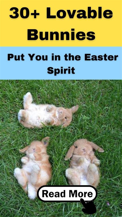 Three Rabbits Laying In The Grass With Text Reading 30 Lovable