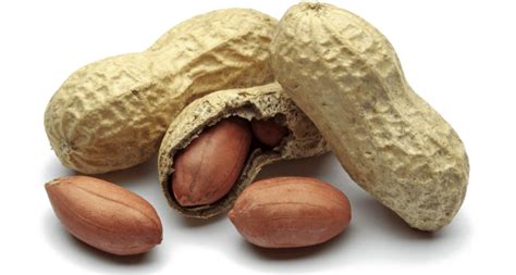 Peanut Png Images Transparent Free Download