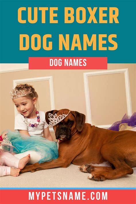 39 Names For Boxer Puppy Photo Bleumoonproductions