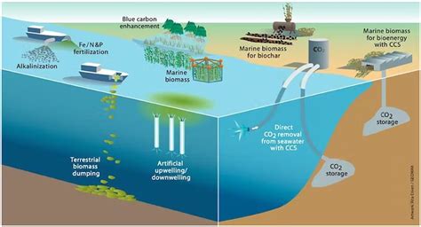 Ocean Carbon Sequestration Current Affairs