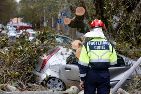 La pioggia ha letteralmente paralizzato la capitale Maltempo Roma, alberi e rami crollati in tutta la città ...