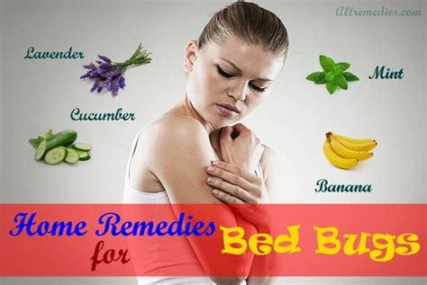 18 Natural Home Remedies For Bed Bugs Bites