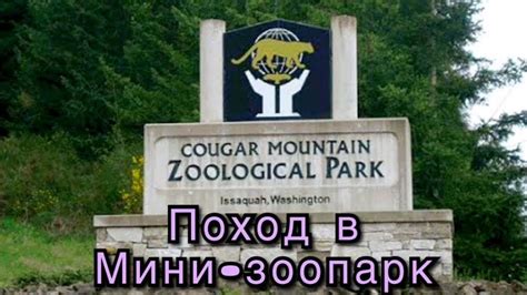 Cougar Mountain Zoo Американский мини зоопаркvlog Youtube