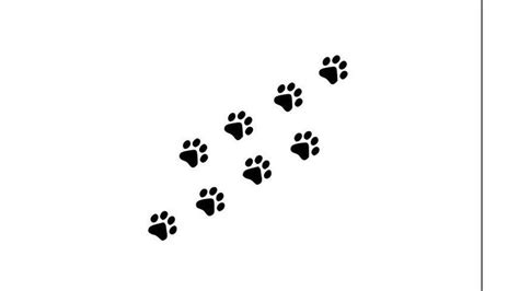 Animal Paw Print Trail Svg File Only Etsy