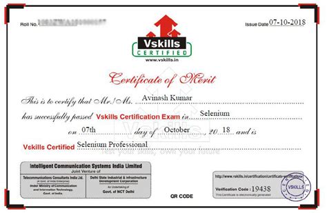How To Crack Vskills Selenium Professional Certifications Exam Inviul
